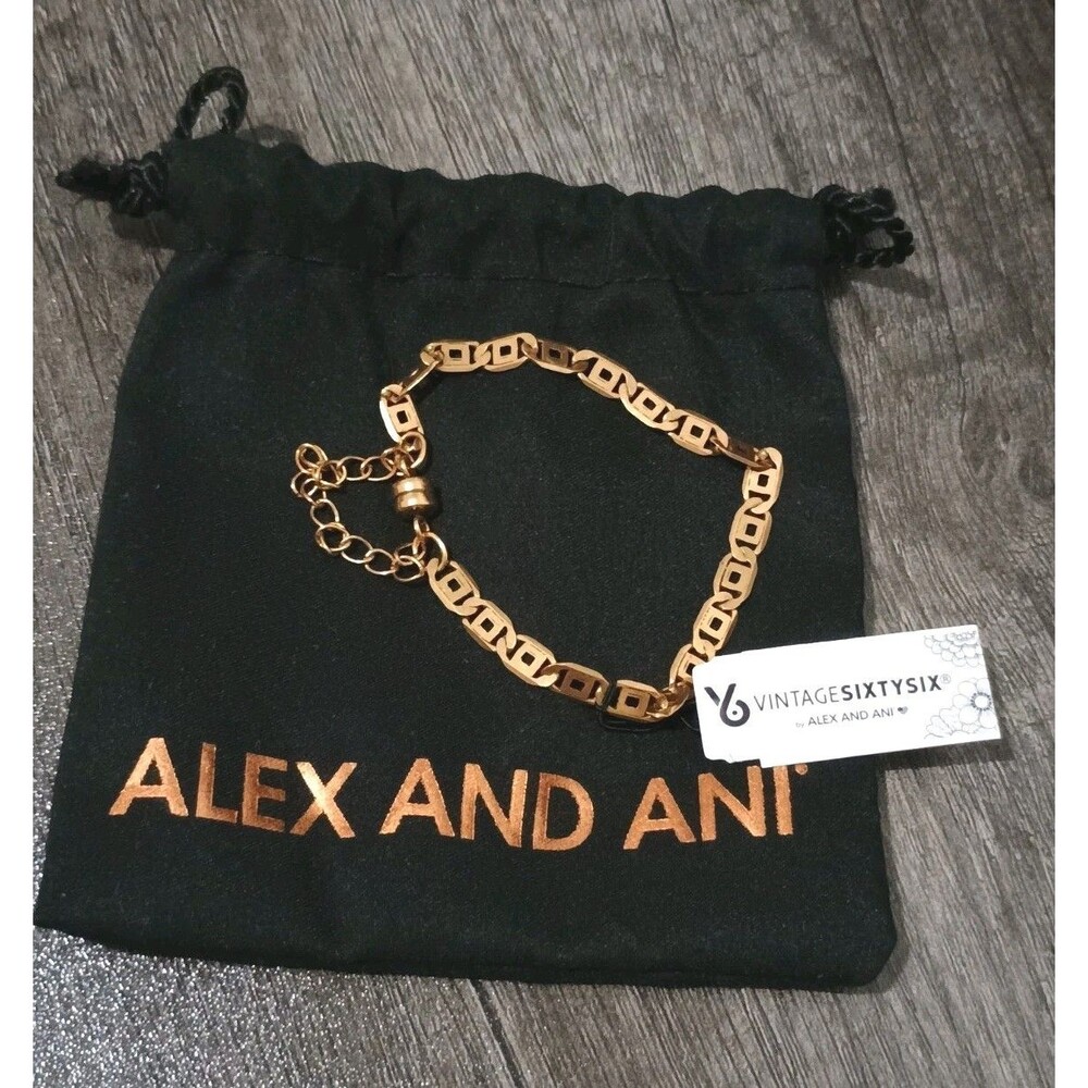 Vintage Sixty Six Alex And Ani Gold Tone Chain Link Bracelet With Pouch New